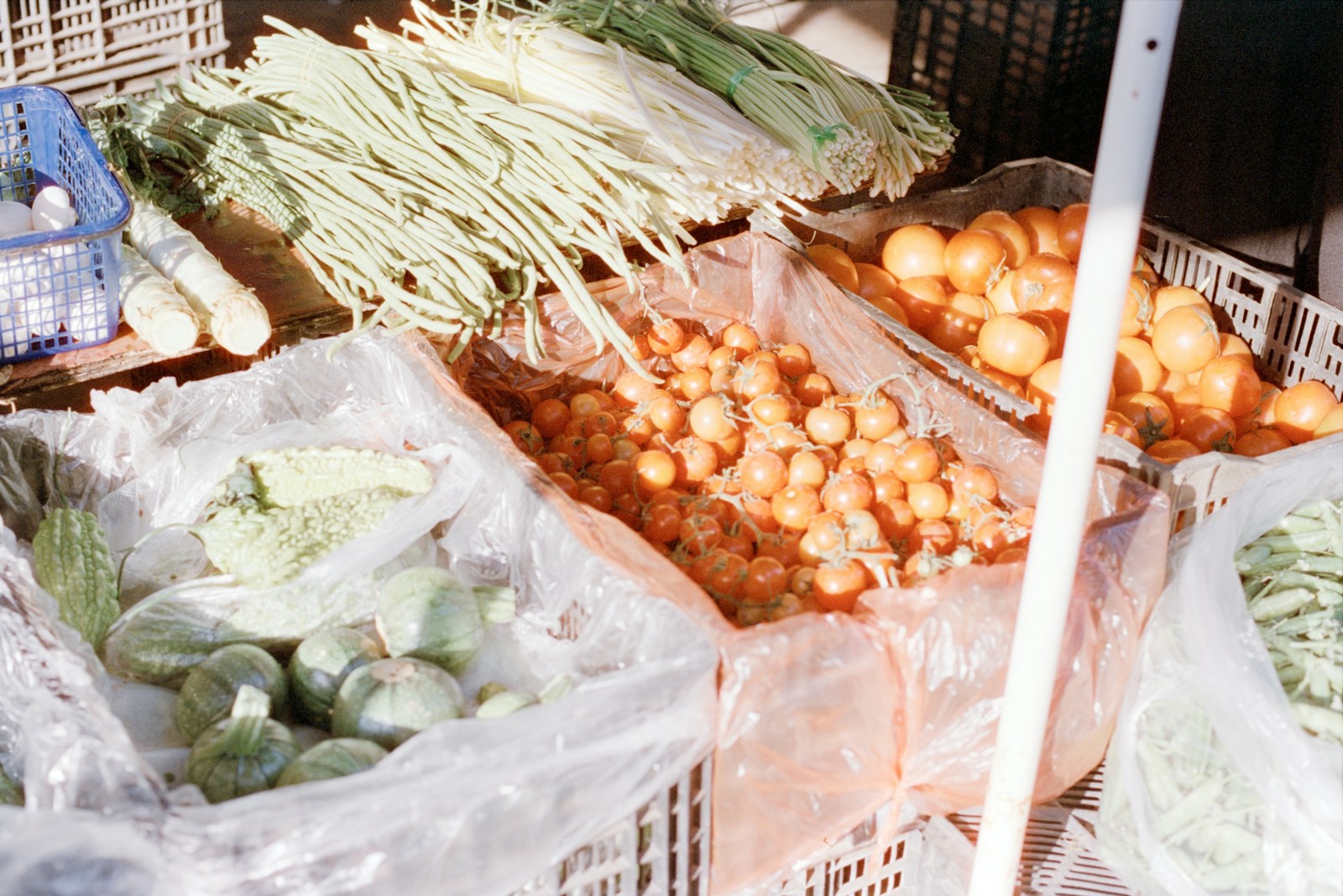 Fresh vegetables and fruit arranged in commercial produce crates